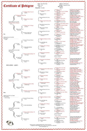 7 Generation Pedigree